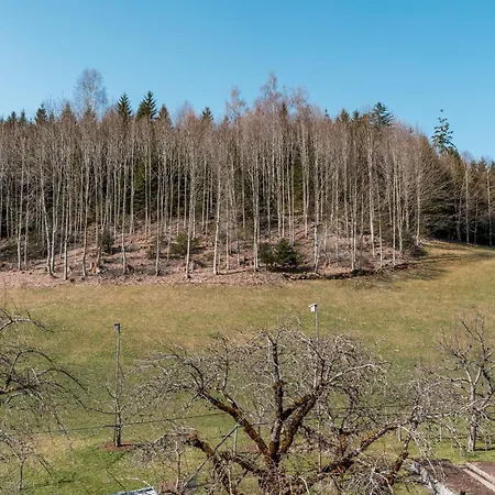 Loft Alpenpanorama Mit 2 Balkonen Daire